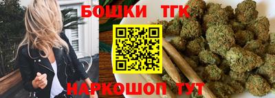 МДПВ Дубна
